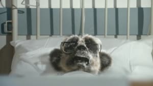 Sick Sergei